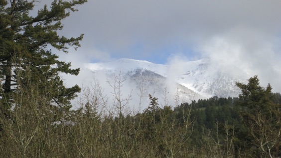 Bridger Mountains, Bozeman, Montana